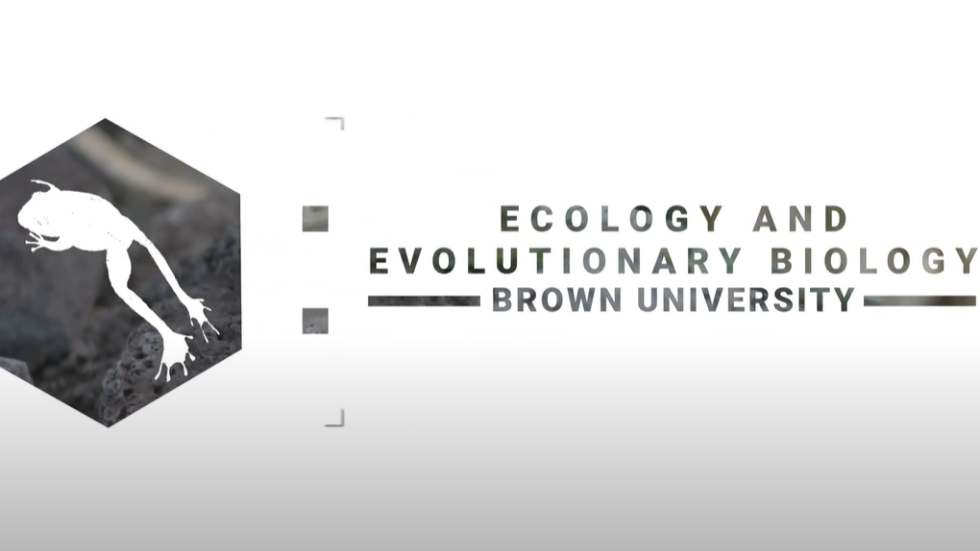 graphic that says Ecology and Evolutionary Biology