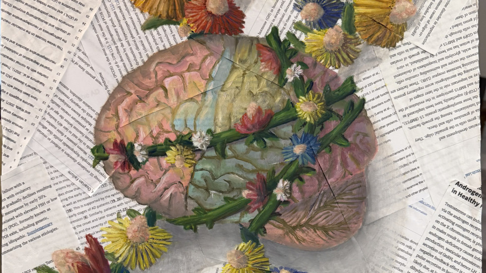 Cerebral entanglement by Heather Valera